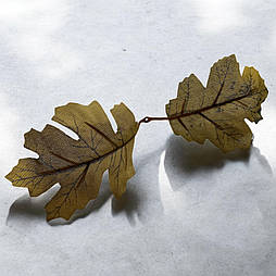 Штучні дубові листя подвійні 19 см зелені (20 шт/уп)