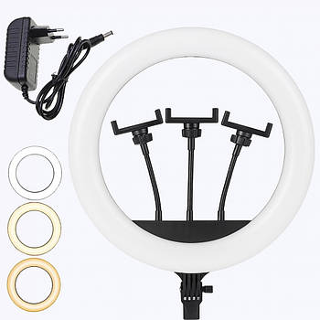 Кільцева LED лампа з 3 тримачами, від мережі, 36см / Світлодіодна лампа / Кільцева лампа / Лампа кільцева
