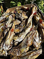 Бичок з ікрою