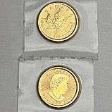 Золота монета 5$ Кленовий лист 2017 Канада 1/10 oz золото 9999 – інвестиція та колекційна цінність, фото 6