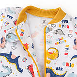 Чоловічок для немовлят на блискавці з динозаврами Colorful Dino, фото 2