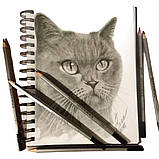 Набір професійних олівців для малювання WORISON 14B-9H/24 олівця, фото 6