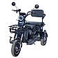 Електротрайк DOZER Model 4E 800W Чорний, фото 2