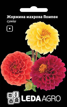 Жоржіна Помпон, махрова, суміш 5 г (Leda Agro)
