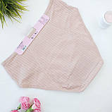 Труси жіночі для критичних днів батальнлї серії, фото 2