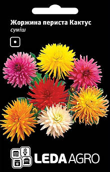Жоржина Кактус, периста, суміш 0,2 г (Leda Agro)