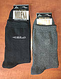Чоловічі шкарпетки "топ-тап". р. 27 (41-42). Стрейч., фото 3