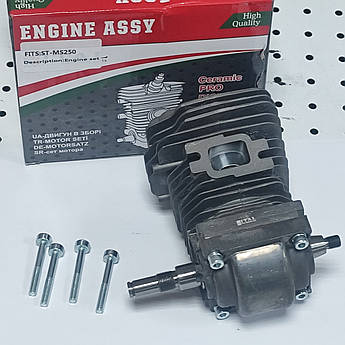 Двигун для бензопил MS 250 Ital