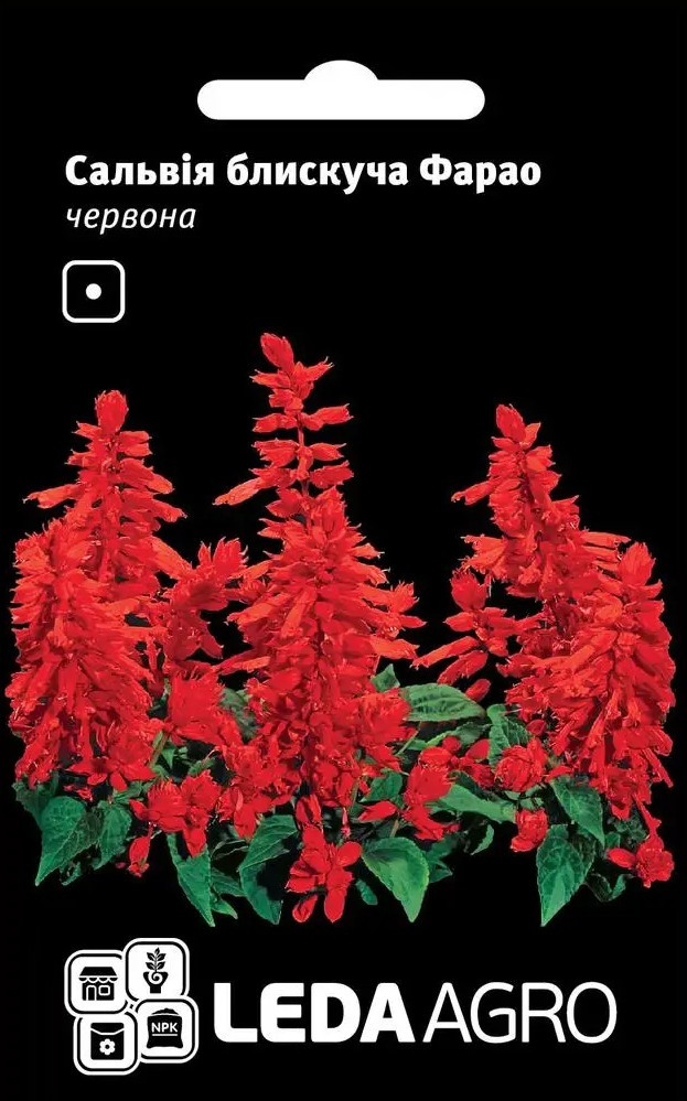 Cальвія Фарао, блискуча червона 1 г (Leda Agro), фото 1