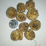 Кала Dubai Nights 08/10, фото 8