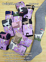 Колготи махра  для дівчаток 

Розмір: 92-104; 104-116; 116-128; 128-140; 140-152; 152-164і :Фенна