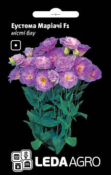 Еустома Маріачі F1, місті блу 5 шт (Leda Agro)