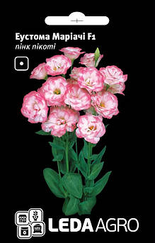 Еустома Маріачі F1, пінк пікоті 5 шт (Leda Agro)