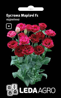 Еустома Маріачі F1, кармінна 5 шт (Leda Agro)