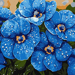 Картина за номерами Ідейка Фіалки в росі ©art_selena_ua (KHO3316) 40 х 40 см