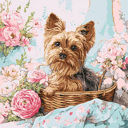 Картина Розмальовка Ідейка Йорк в кошику ©art_selena_ua (KHO6797) 40 х 40 см