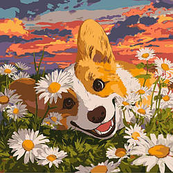 Полотно для малювання Ідейка Коргі в ромашках ©art_selena_ua (KHO6798) 40 х 40 см
