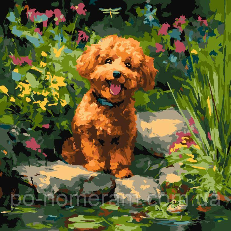 Живопис по номерам Ідейка Пудель на ставку ©art_selena_ua (KHO6799) 40 х 40 см, фото 1