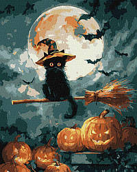 Розмальовка по номерах Ідейка Маленький чаклун ©art_selena_ua (KH6821) 40 х 50 см