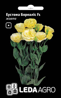 Еустома Бореаліс F1, жовта 5 шт (Leda Agro)