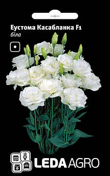 Еустома Касабланка F1, біла 5 шт (Leda Agro)