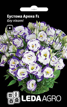 Еустома Арена F1, блу пікоті 5 шт (Leda Agro)