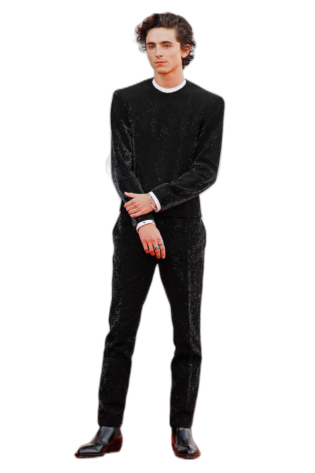 Ростова фігура Тімоті Шаламе (Timothée Chalamet) 180 см картон