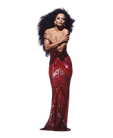 Ростова фігура Діана Росс (Diana Ross) 180 см картон