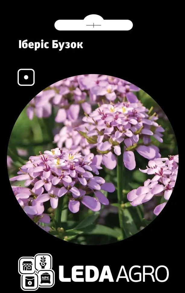 Іберіс Бузок 0,5 г (Leda Agro), фото 1