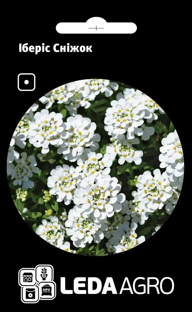 Іберіс Сніжок 0,5 г (Leda Agro), фото 1