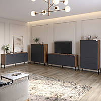 Комплект меблів для вітальні Lion Амарант 4 елементи Дуб Ліворно/Графітовий (LION-042276), 8929685 - 421