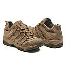 Кросівки демісезонні тактичні PAV 407 Койот, фото 2