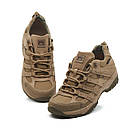 Кросівки демісезонні тактичні PAV 407 Койот, фото 3