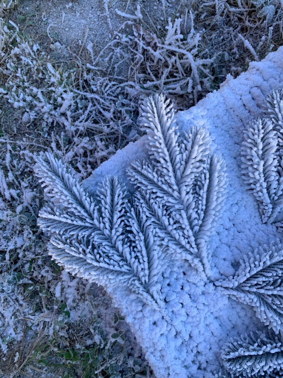 Лита штучна гілка зі снігом 25см