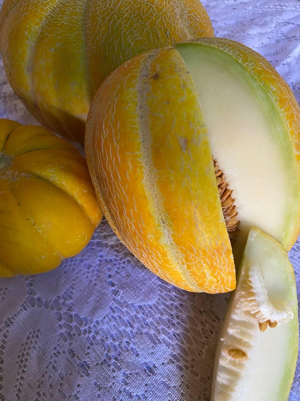 Насіння дині Ефіопка 5 грамів, фото 1