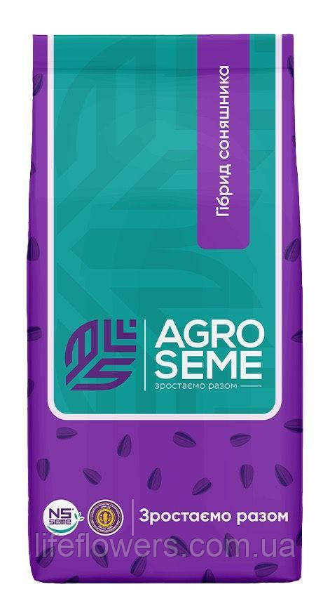 Соняшник посівний НС Х 8005