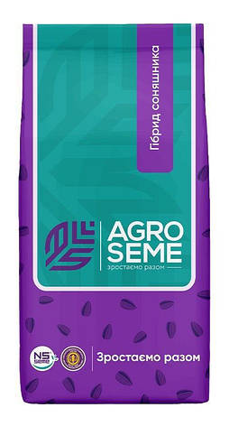 Соняшник посівний НС Х 8005, фото 1