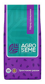 Насіння соняшнику НС-Х-6045 під ЄвроЛайтінг