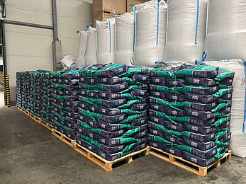 Гібрид соняшника Таурус стійкий до євролайтингу, фото 3