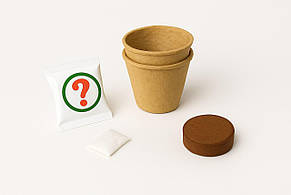 Набір-запаска для теплиці “Ботанічні експерименти”  77861 "4FUN Game Club", фото 3