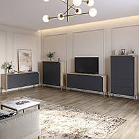 Комплект меблів для вітальні Lion Амарант 4 елементи Дуб Сонома/Графітовий (LION-042359), 8929750 - 123