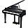 Цифровий рояль Kurzweil KAG-100 EP, фото 2