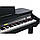 Цифровий рояль Kurzweil KAG-100 EP, фото 5