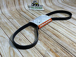 Ремінь генератора ребристий 11х10х1250 МТЗ 80,-82, СМД 31-01  (Д-240/260)