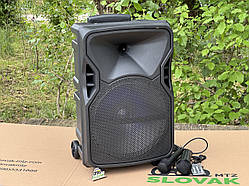 Портативна Bluetooth-колонка Sing-e ZQS12129 (караоке, 12", підсвітка, 60 Вт)