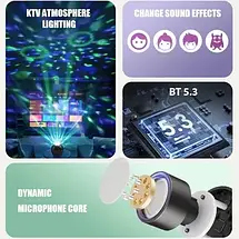 Портативна караоке колонка Z1 з подвійним мікрофоном, RGB KTV підсвічуванням, Bluetooth 5.3, USB, AUX, TF та FM для вечірок, фото 4