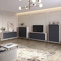 Комплект меблів для вітальні Lion Амарант 4 елементи Самоа Димчастий/Графітовий (LION-042363), 8929754 - 101