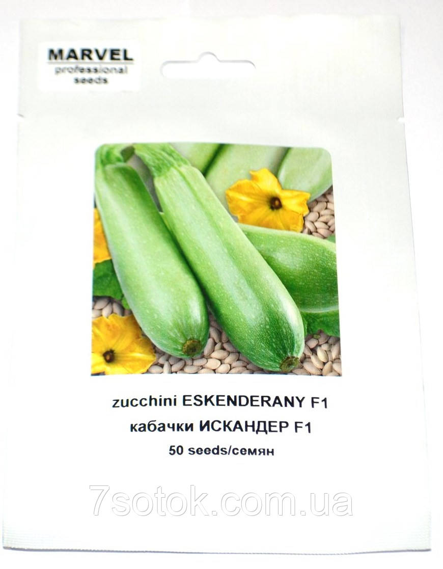 Насіння кабачка Іскандер F1 (Польща), 50 насінин.