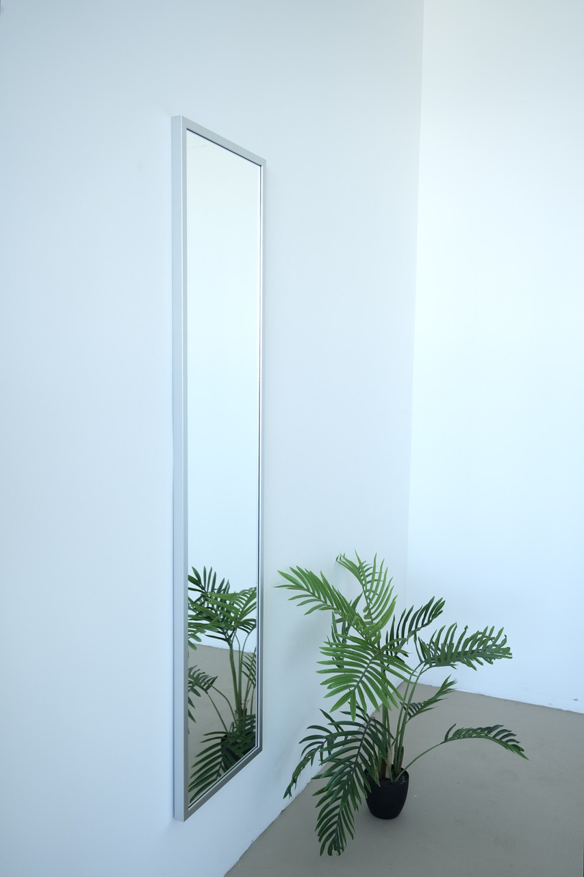 Настінне дзеркало на повний зріст в рамі 165*40 сріблясте, фото 1