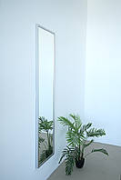 Настінне дзеркало на повний зріст в рамі 165*40 сріблясте